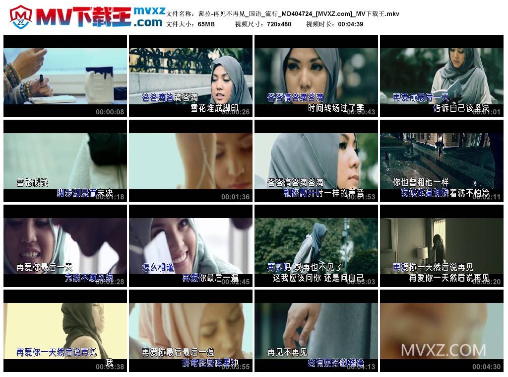 茜拉-再见不再见_国语_流行_MD404724